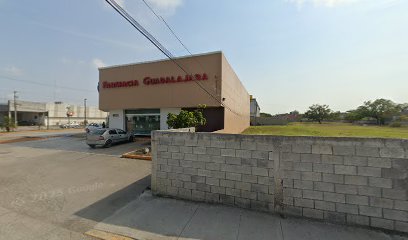 Negocio 5M Polarizados