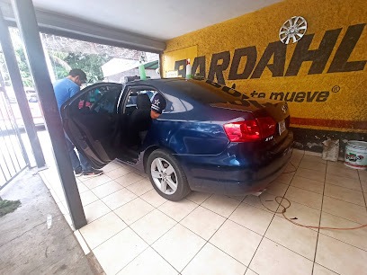 Accesorios Loera Polarizado Autos