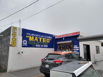 Negocio Accesorios Y Polarizado 