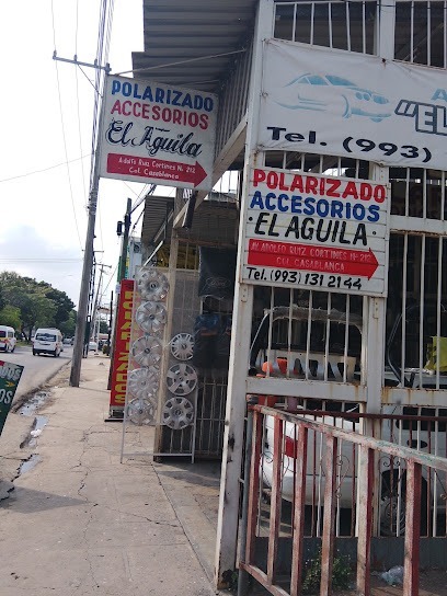 Negocio Accesorios Y Polarizados