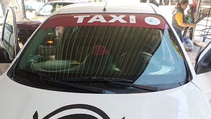 Negocio Accesorios Y Polarizados 
