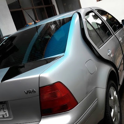 Negocio Alpha Custom Auto Detallado