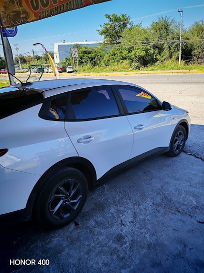 Negocio Auto Accesorios Y Polarizado El Potro