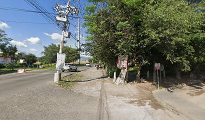 Negocio Auto Polarizados Rise