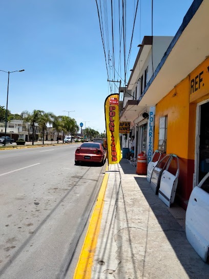 Negocio Auto Protect Polarizados