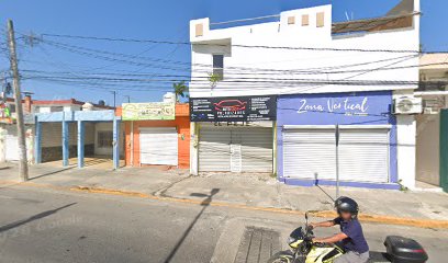 Negocio Auto Shop Polarizados