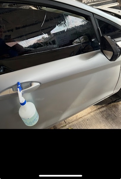 Negocio Auto Sonido De La Rosa