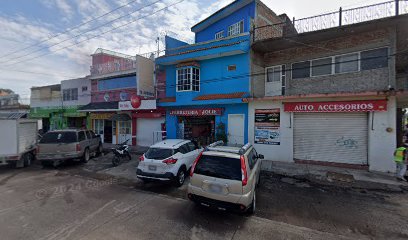 Negocio Autoaccesorios Y Polarizados