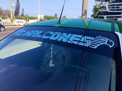 Negocio Autoaccesorios Y Polarizados Báez