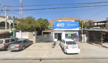 Autocristales Y Polarizados Borocio
