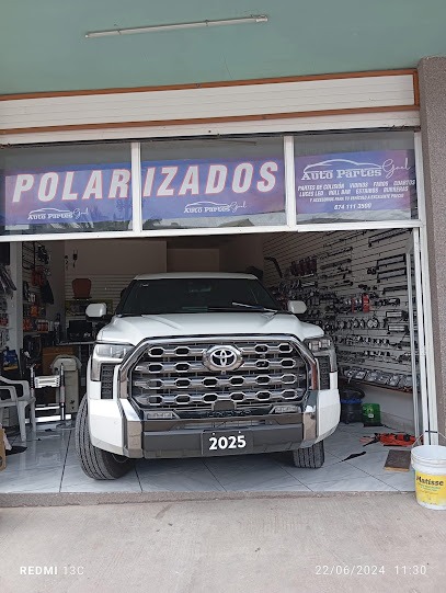 Negocio Autopartes Y Polarizado Gael