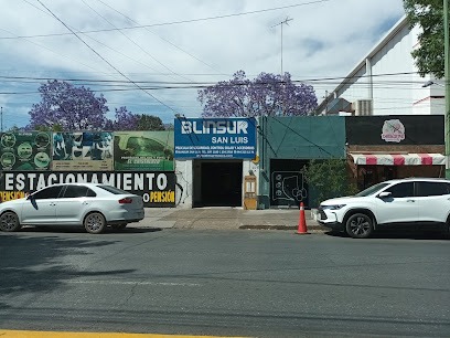 Negocio Blinsur San Luis