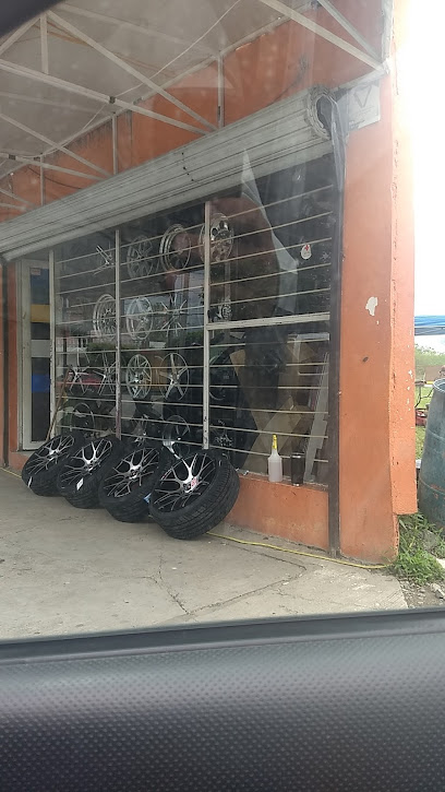 Negocio Castelan Polarizados