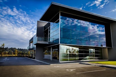 Negocio Eclipse | Polarizado Commercial & Residential Window Tint