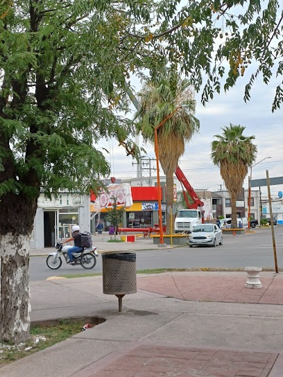 Negocio El Cuate Polarizado