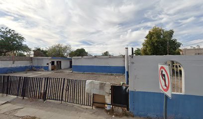 Elite Auto Boutique Polarizado