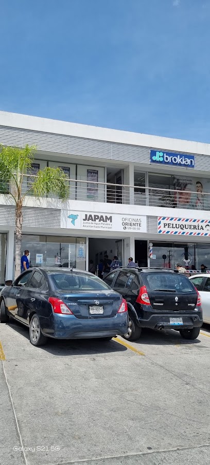 Negocio Japam