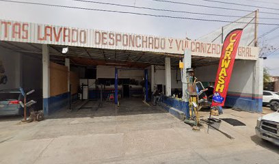 Negocio Las Palmitas Lavado Desponchado