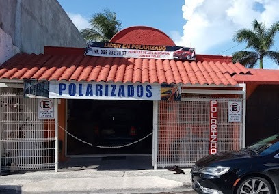 Negocio Lider En Polarizados