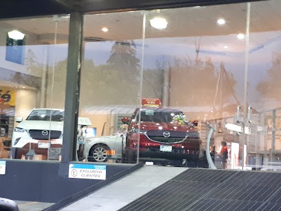 Negocio Mazda San Ángel