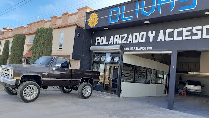 Negocio Olivas Polarizados