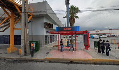 Negocio Palarizados Lalo