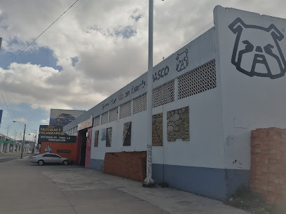 Negocio Películas Y Polarizados Toluca