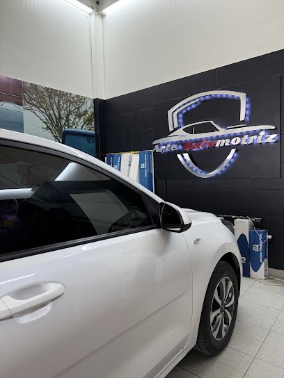 Negocio Polarizado Arte Automotriz