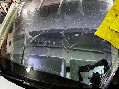 Negocio Polarizado Automotip