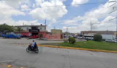 Negocio Polarizado Automotriz