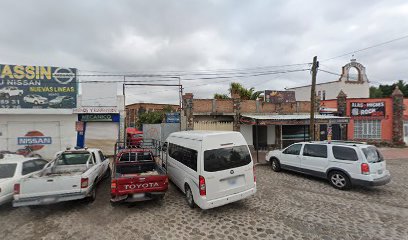 Negocio Polarizado Automotriz