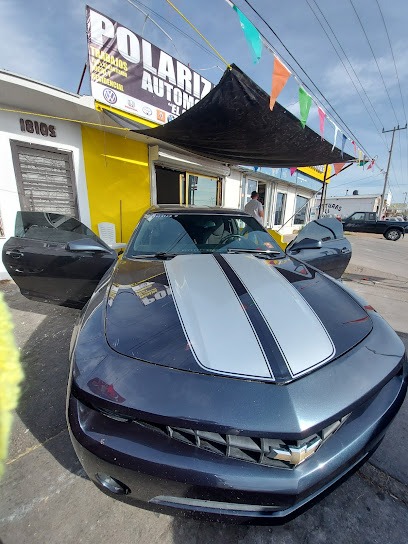 Negocio Polarizado Automotriz 