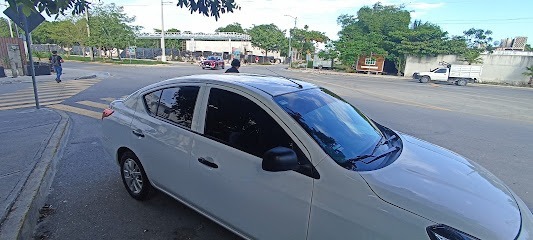 Negocio Polarizado Automotriz Y Residencial