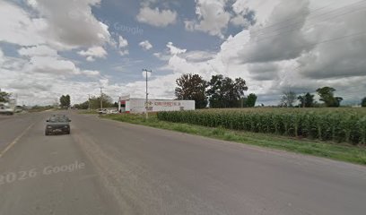 Negocio Polarizado Crucero Romita