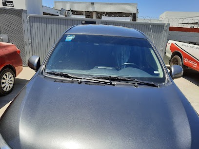 Negocio Polarizado De Alta Seguridad Protect Distribuidor Autorizado Solex