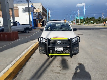 Negocio Polarizado De Autos Auto Innovation