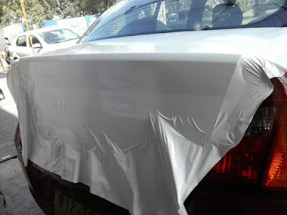 Negocio Polarizado De Autos Dante