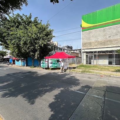 Polarizado De Autos “Nueva Era “ Lldm