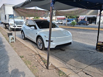 Negocio Polarizado Del Sol