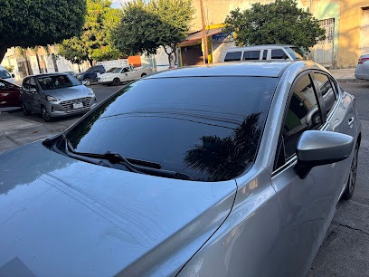 Negocio Polarizado El Pajaro