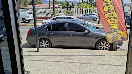 Negocio Polarizado Guero