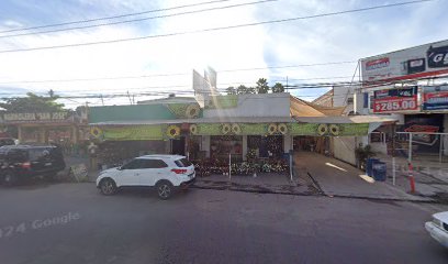 Polarizado Inteligente