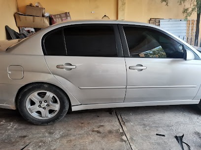 Negocio Polarizado Luna Car