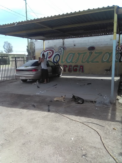 Negocio Polarizado Ortega