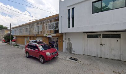 Polarizado Prosol
