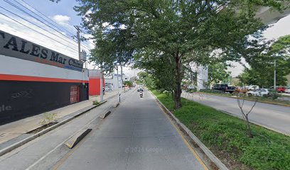 Polarizado Solex