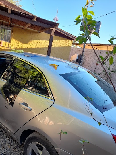 Negocio Polarizado Tint Romeros