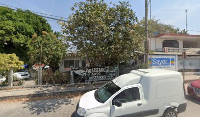 Negocio Polarizado Y Autoaccesorios