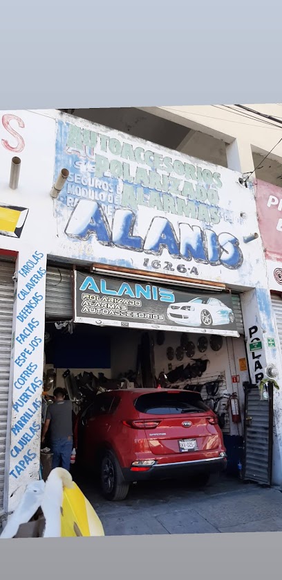 Polarizado Y Autopartes Alanis