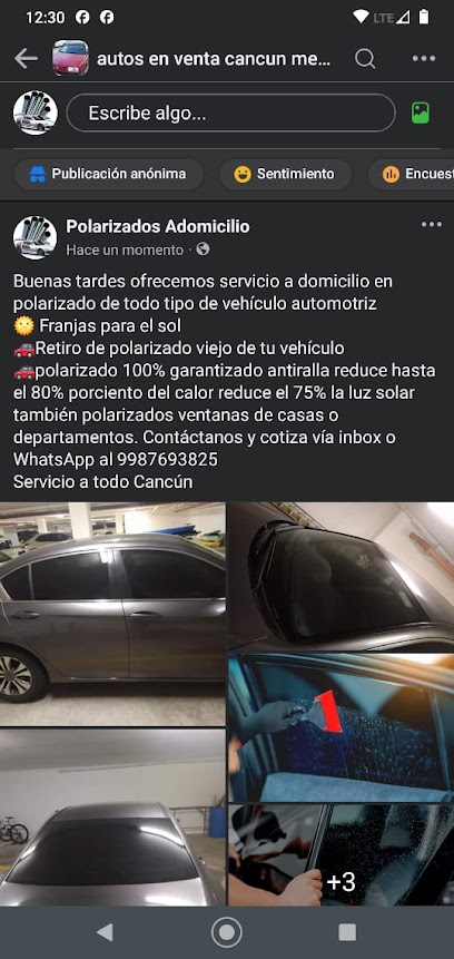 Negocio Polarizados A Domicilio Cancun 1